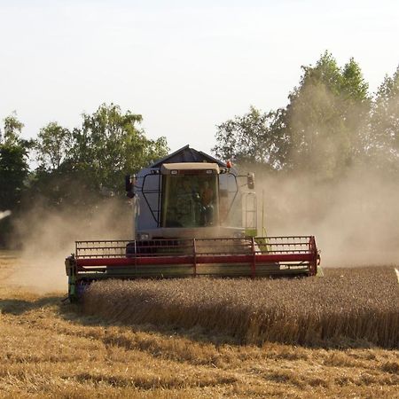 Backhaus Meeresblick Meeschendorf エクステリア 写真