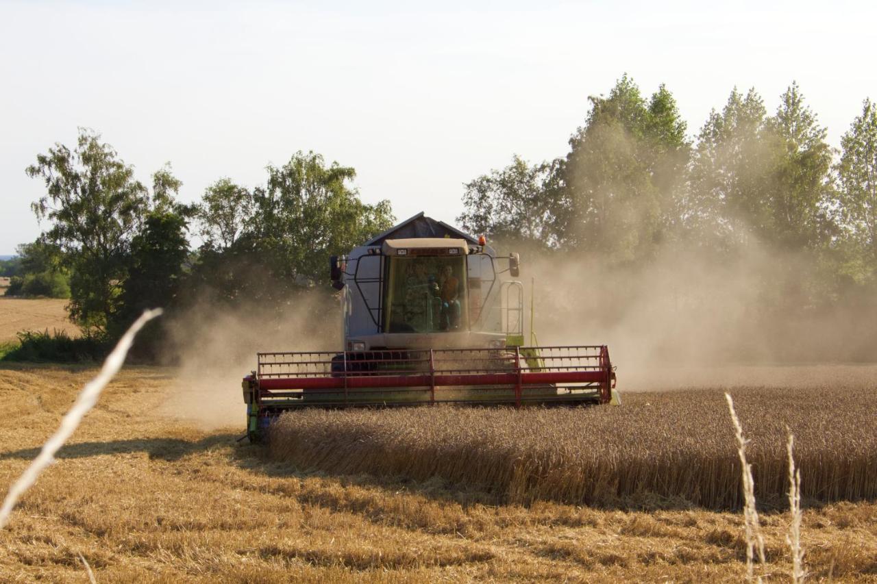 Backhaus Meeresblick Meeschendorf エクステリア 写真